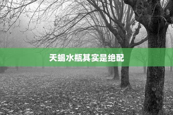 天蝎水瓶其实是绝配