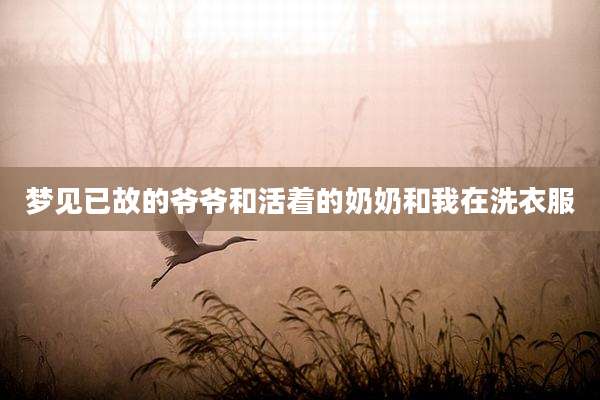 梦见已故的爷爷和活着的奶奶和我在洗衣服