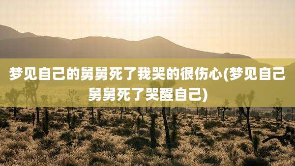梦见自己的舅舅死了我哭的很伤心(梦见自己舅舅死了哭醒自己)