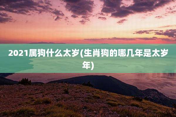 2021属狗什么太岁(生肖狗的哪几年是太岁年)