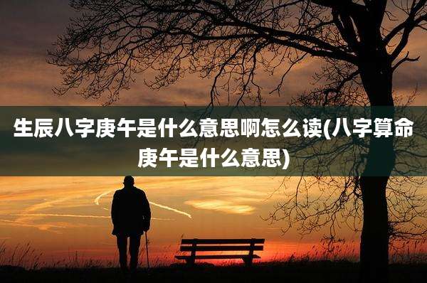 生辰八字庚午是什么意思啊怎么读(八字算命庚午是什么意思)