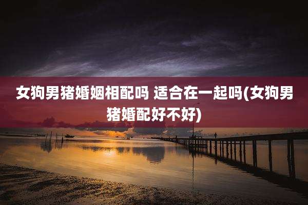 女狗男猪婚姻相配吗 适合在一起吗(女狗男猪婚配好不好)