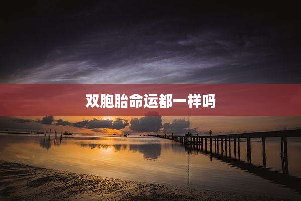 双胞胎命运都一样吗