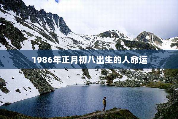 1986年正月初八出生的人命运