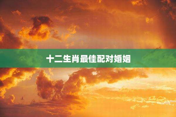十二生肖最佳配对婚姻