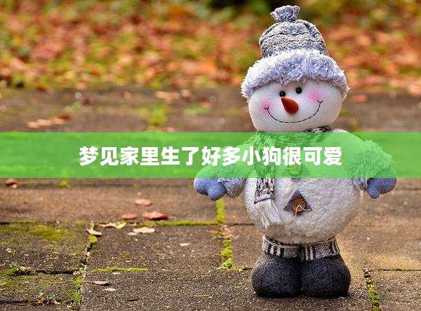 梦见家里生了好多小狗很可爱