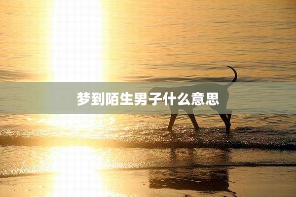 梦到陌生男子什么意思