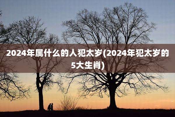 2024年属什么的人犯太岁(2024年犯太岁的5大生肖)