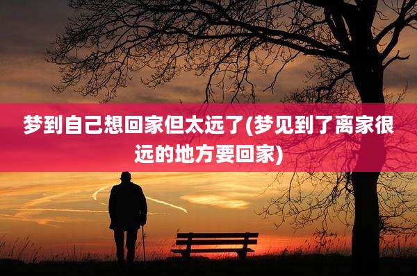 梦到自己想回家但太远了(梦见到了离家很远的地方要回家)