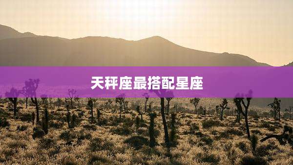 天秤座最搭配星座