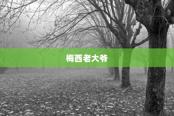 梅西老大爷