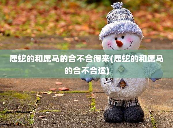 属蛇的和属马的合不合得来(属蛇的和属马的合不合适)