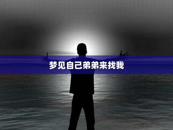 梦见自己弟弟来找我