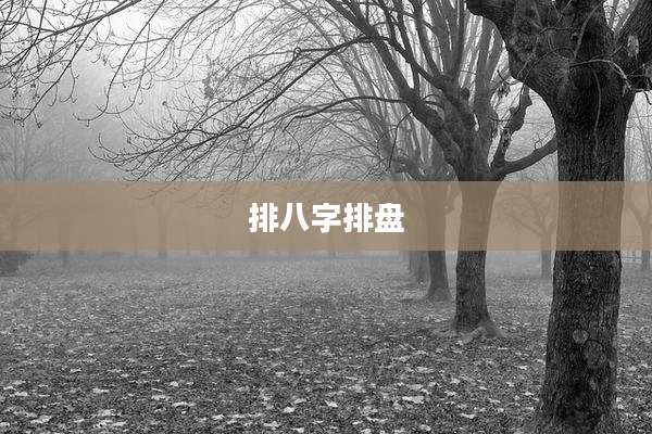 排八字排盘