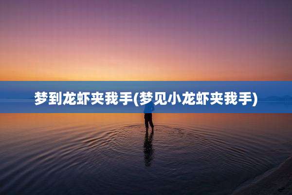 梦到龙虾夹我手(梦见小龙虾夹我手)