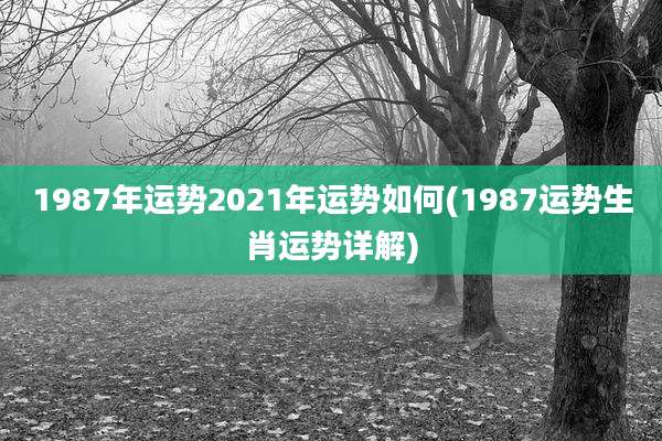 1987年运势2021年运势如何(1987运势生肖运势详解)