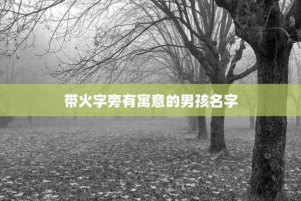 带火字旁有寓意的男孩名字