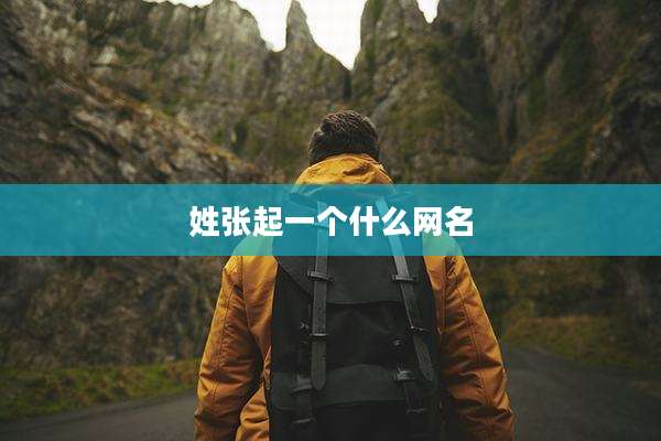 姓张起一个什么网名