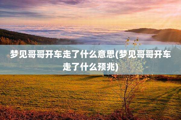 梦见哥哥开车走了什么意思(梦见哥哥开车走了什么预兆)