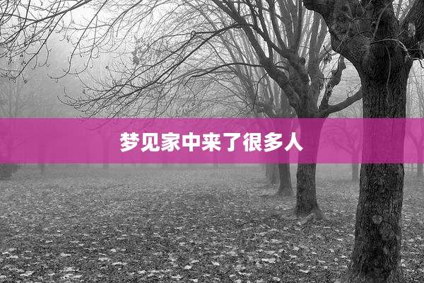 梦见家中来了很多人