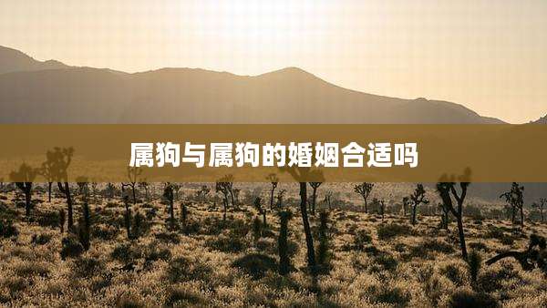 属狗与属狗的婚姻合适吗
