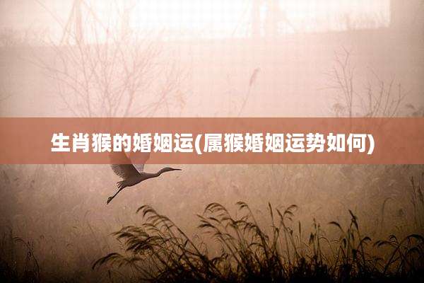 生肖猴的婚姻运(属猴婚姻运势如何)