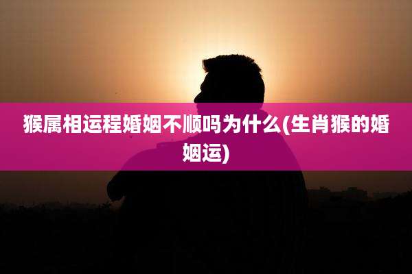 猴属相运程婚姻不顺吗为什么(生肖猴的婚姻运)