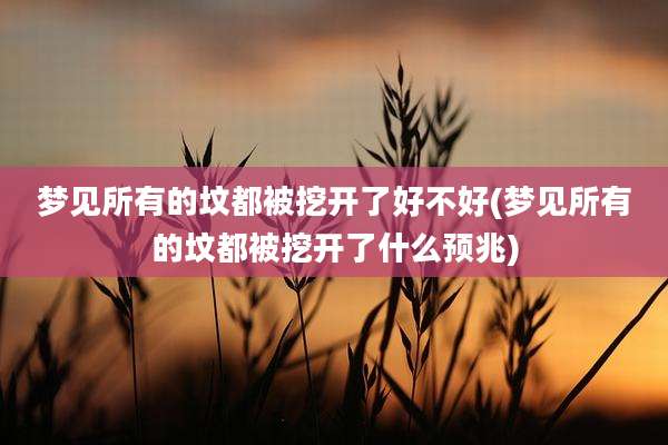 梦见所有的坟都被挖开了好不好(梦见所有的坟都被挖开了什么预兆)