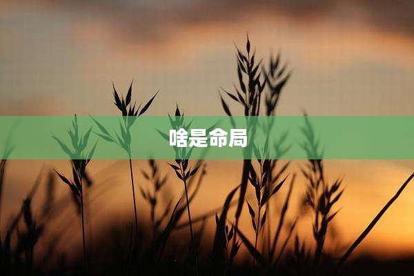 啥是命局