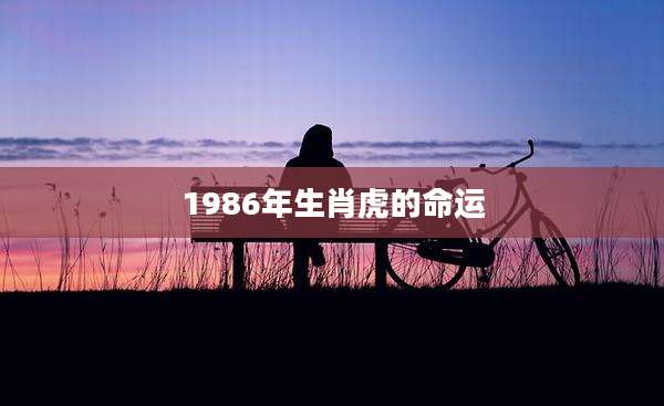 1986年生肖虎的命运