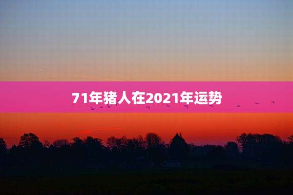 71年猪人在2021年运势