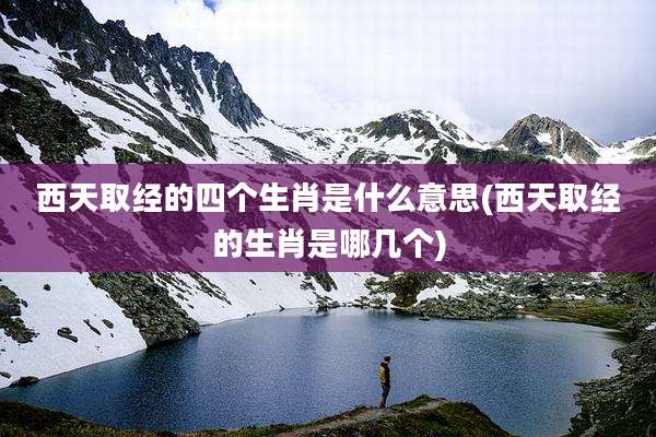 西天取经的四个生肖是什么意思(西天取经的生肖是哪几个)