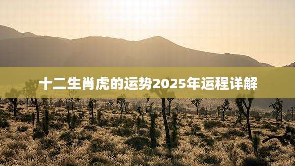十二生肖虎的运势2025年运程详解