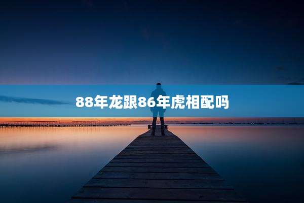 88年龙跟86年虎相配吗