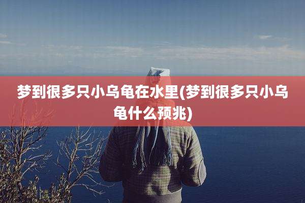 梦到很多只小乌龟在水里(梦到很多只小乌龟什么预兆)