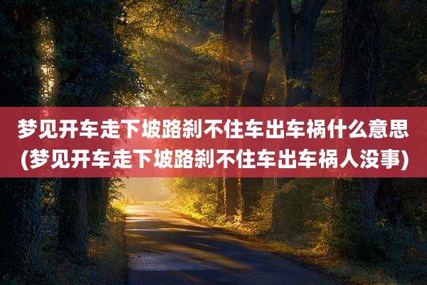 梦见开车走下坡路刹不住车出车祸什么意思(梦见开车走下坡路刹不住车出车祸人没事)