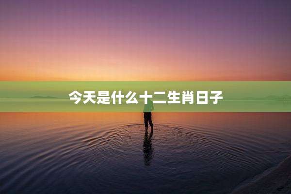 今天是什么十二生肖日子