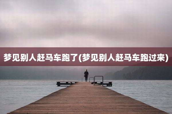 梦见别人赶马车跑了(梦见别人赶马车跑过来)