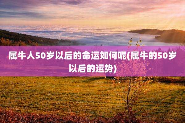 属牛人50岁以后的命运如何呢(属牛的50岁以后的运势)