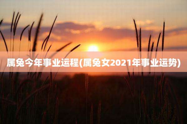 属兔今年事业运程(属兔女2021年事业运势)