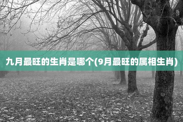 九月最旺的生肖是哪个(9月最旺的属相生肖)