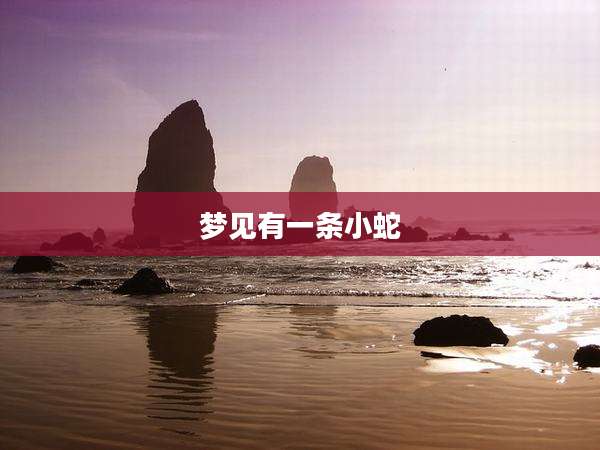 梦见有一条小蛇