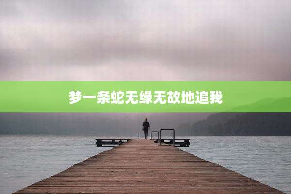 梦一条蛇无缘无故地追我