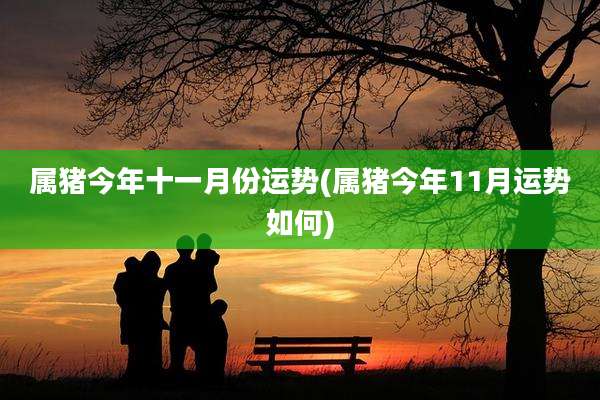 属猪今年十一月份运势(属猪今年11月运势如何)