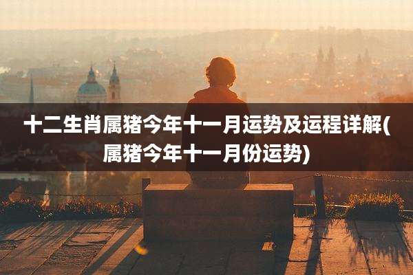 十二生肖属猪今年十一月运势及运程详解(属猪今年十一月份运势)