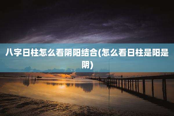 八字日柱怎么看阴阳结合(怎么看日柱是阳是阴)