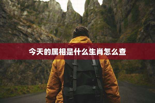 今天的属相是什么生肖怎么查
