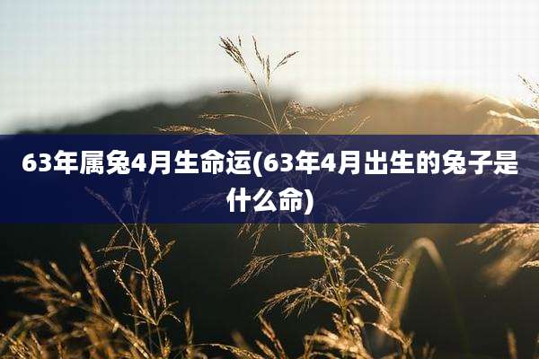 63年属兔4月生命运(63年4月出生的兔子是什么命)
