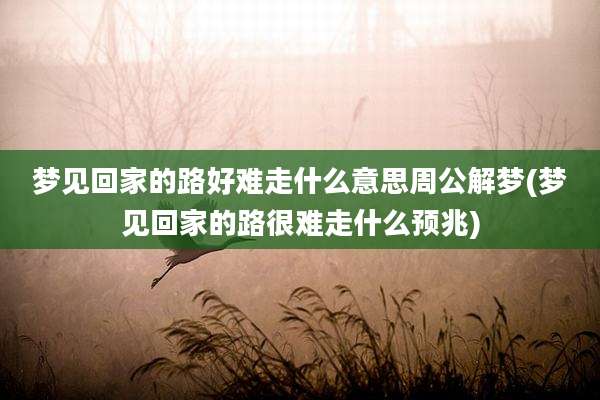 梦见回家的路好难走什么意思周公解梦(梦见回家的路很难走什么预兆)