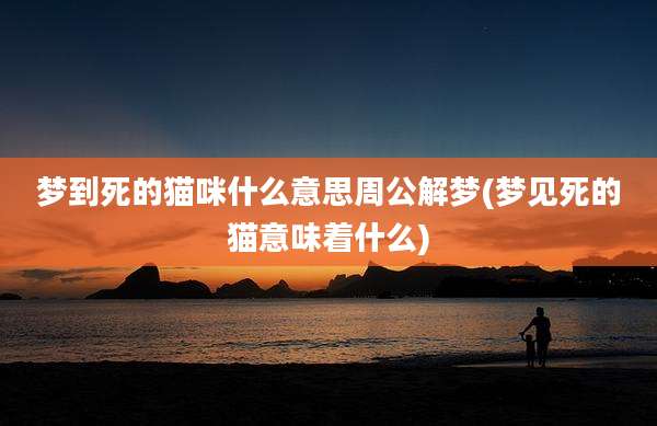 梦到死的猫咪什么意思周公解梦(梦见死的猫意味着什么)
